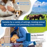 Pet Eye Cream for Cats, Dogs, Puppies, Kittens, Horses, Cattle, Sheep, Birds —