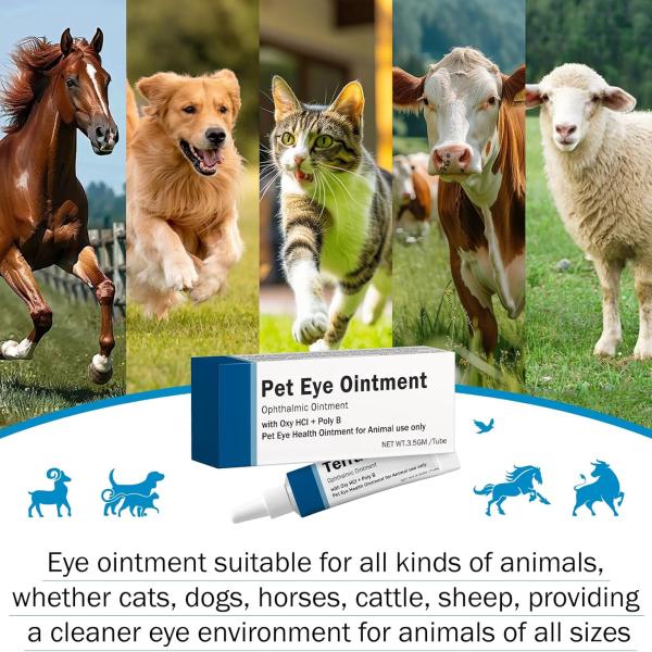 Pet Eye Cream for Cats, Dogs, Puppies, Kittens, Horses, Cattle, Sheep, Birds —